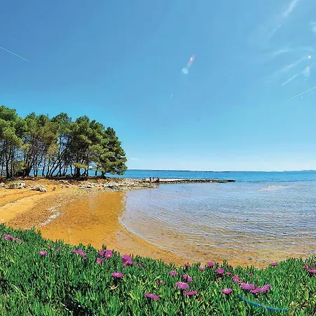 Appartement Luxurious In With House Sea View